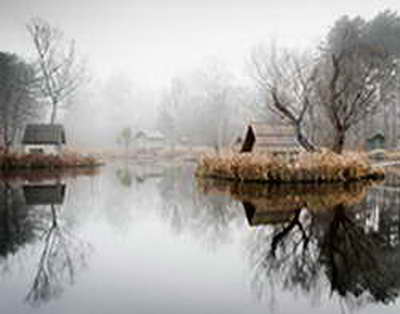 Доллар пережил самый успешный месяц с прошлого лета